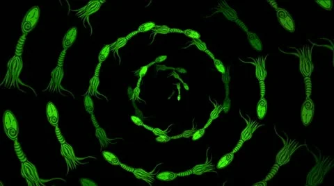 Spiral wortex green octopus clock 库存影片 22183832