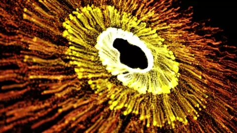 Spiraling Rainbow Particles. Stock Footage 297168167