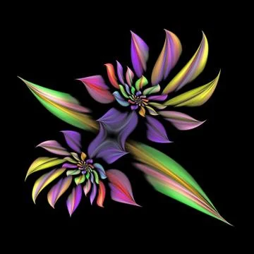 Spiraling star flower Stock Illustration