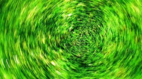 Spiralling patch of bright green grass spiralling patch of bright green gr... Stock Photos
