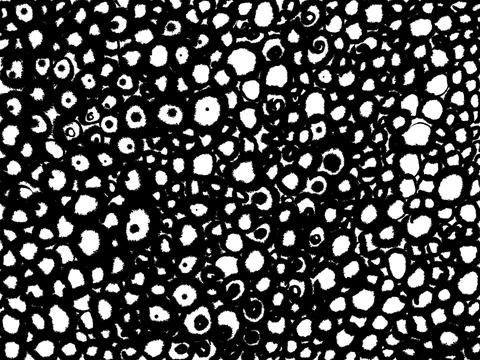 Spirals ink texture background. Vintage black and white illustration with spiral Stock Illustration