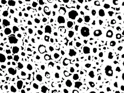 Spirals ink texture background. Vintage black and white illustration with spiral Stock Illustration