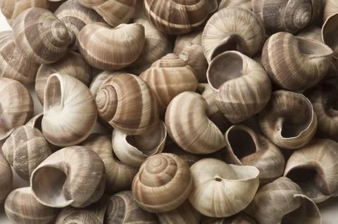 Spirals 스톡 사진