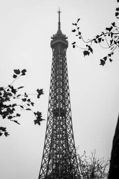 The spire of the Eiffel Tower in black and white in autumn in Paris Stock Photos