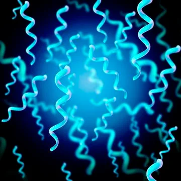Spirillum bacteria, illustration Stock Illustration