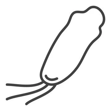 Spirillum Bacteria vector concept minimal thin line icon イラスト素材