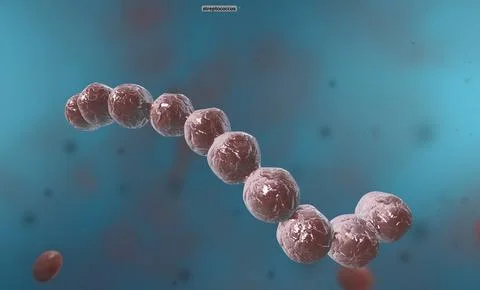 Spirillum is a bacterium from the Proteobacteria phylum with a spiral-shaped  Stockillustratie