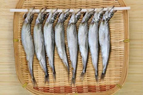 Spirinchus Stock Photos