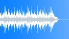The Spirit of Country Music 30 Sec Mix Stock Music