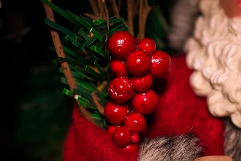 The Spirit of Spruce Stock Photos