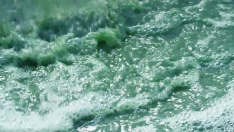 Spirulina, algae, 4K, slow motion Stock Footage 145261909