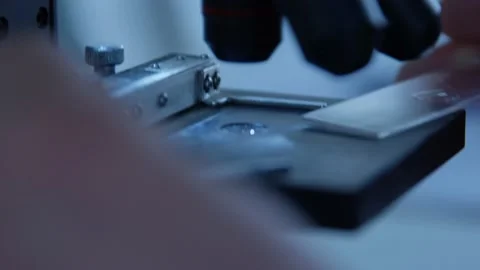 Spirulina, algae, 4K, slow motion Stock Footage 145262139