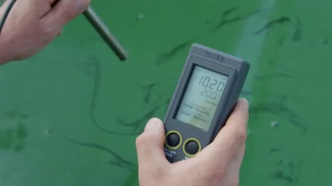 Spirulina, algae, 4K, slow motion Stock Footage 145263030