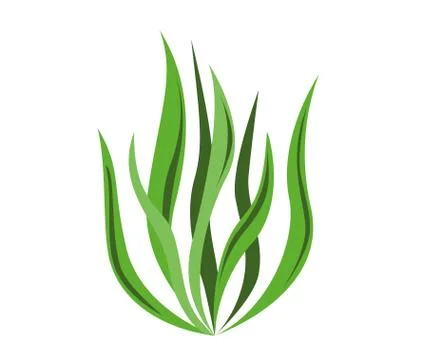 Spirulina algae icon on white background. Vector Illustration. Stock Illustration