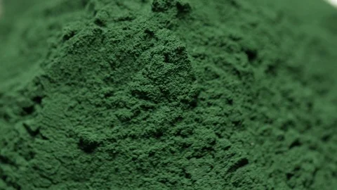 Spirulina Algae Powder Stock Footage 92885069