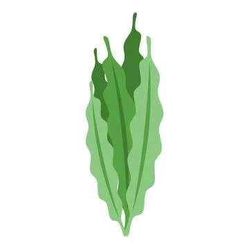 Spirulina leaf icon isometric vector. Alga plant Stock Illustration