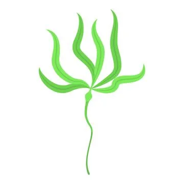 Spirulina plant icon isometric vector. Marine alga Stock Illustration