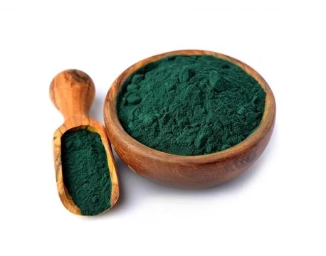 Spirulina on the plate. Stock Photos