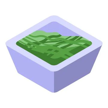 Spirulina salad icon isometric vector. Alga plant Stock Illustration