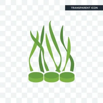 Spirulina vector icon isolated on transparent background, spirulina logo desi Stock Illustration