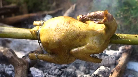 Spit roasted chicken over coal stock footage Stock Footage 247455020