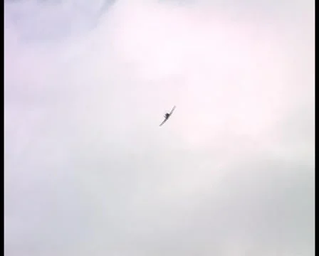 Spitfire in a climbing turn with audio - DV PAL Stock Footage 1044052