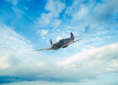 Spitfire diving Stock Illustration