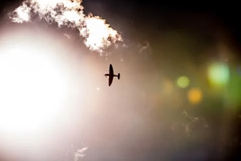 Spitfire sunshine Foto stock