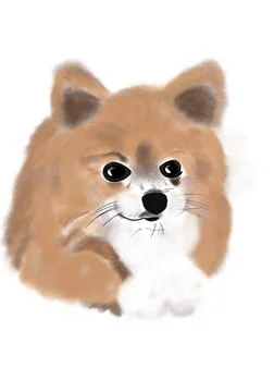 Spitz dog Stock Illustration