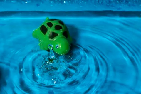 Splash bath toy Stock Photos