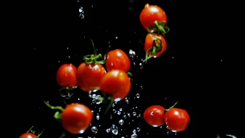 Splash up cherry tomatoes 2 Stock Footage 169225083
