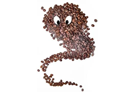 Splash of coffee beans isolated over white background Stock Photos