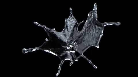 Splash crown Stock Footage 75929610