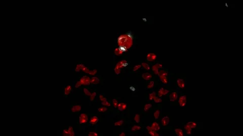 Splash diamonds & ruby. Stock Footage