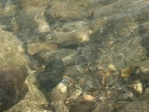 Splash Stock Footage 490236