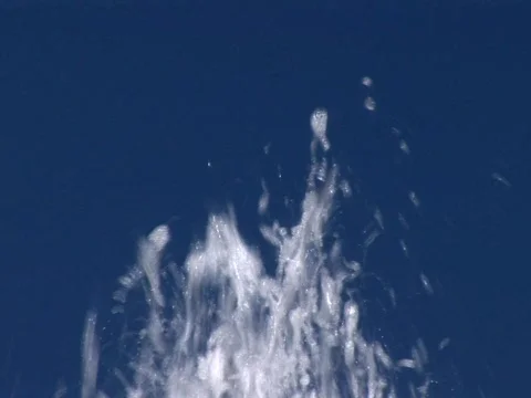 Splash Up Video stock 490279