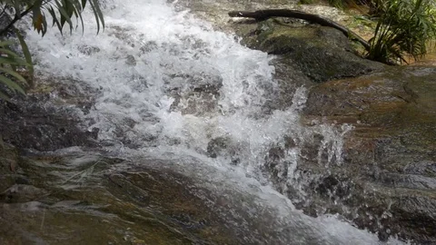 Splash Video stock 79781488