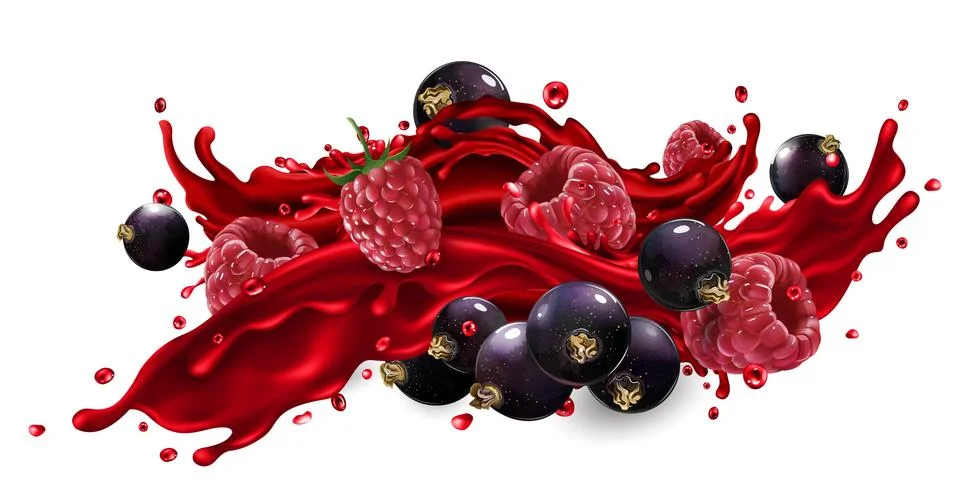 Splash of fruit juice with raspberry and black currant berries. Stock Illustration