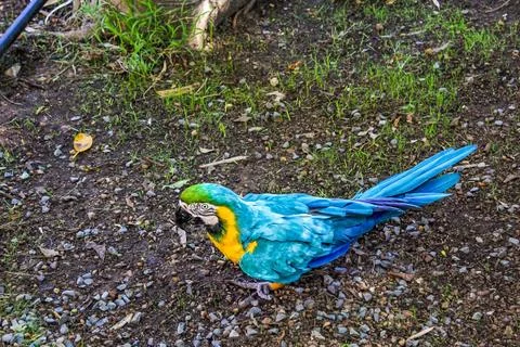 Splash on the ground Stock Photos