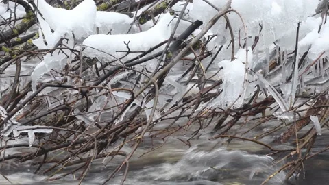 Splash ice on trailing branches in Montreal River Hurley Wisconsin Video stock 232360791
