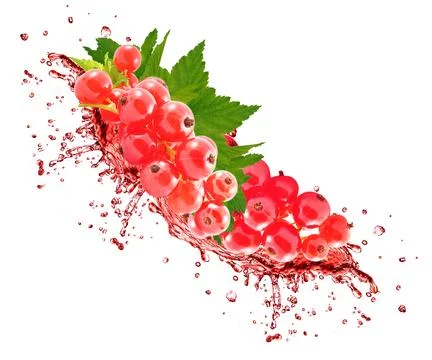 Splash juice red currant Stock Photos