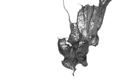 Splash of liquid like grey paint in the air move in slow motion. 3d render Stock Footage