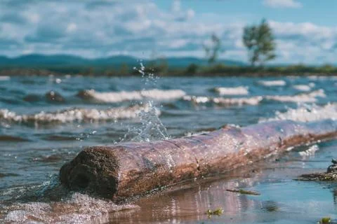 Splash on the log Stock-Fotos