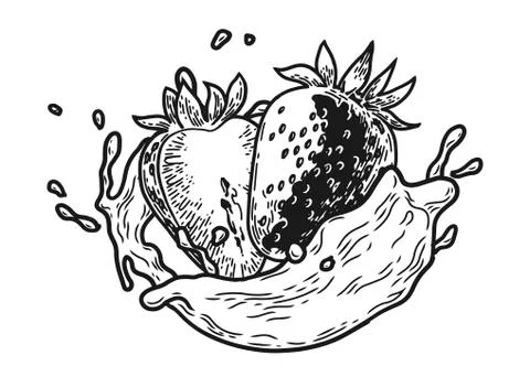 Splash milk strawberry Stock Illustration