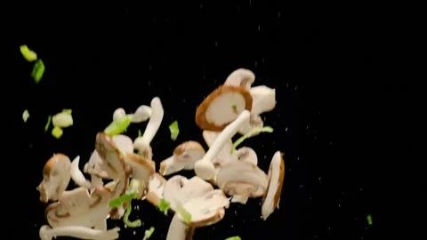    Splash up mushrooms Stock Footage 169225154