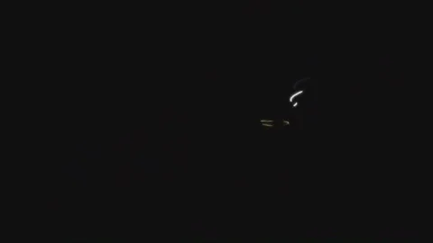Splash overlay showing high speed yellow light streaks on black 库存影片 346847723