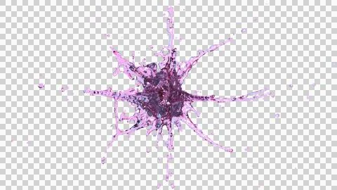 Splash of purple liquid Stock Illustration
