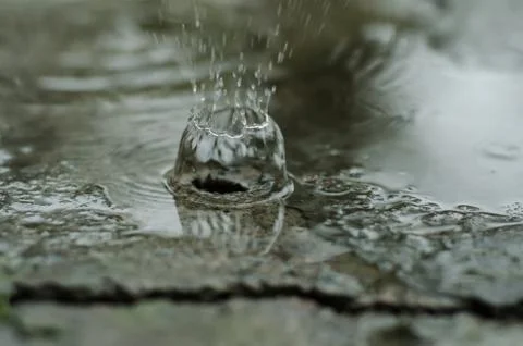 Splash rain drops on asphalt. Stock Photos