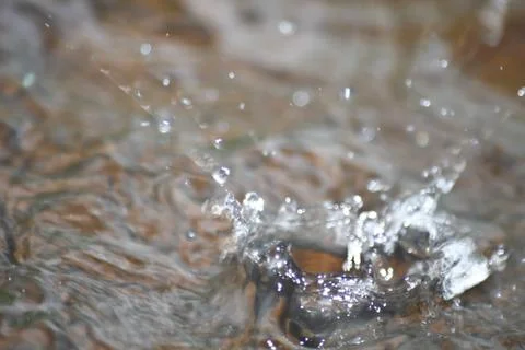 Splash rain water 스톡 사진