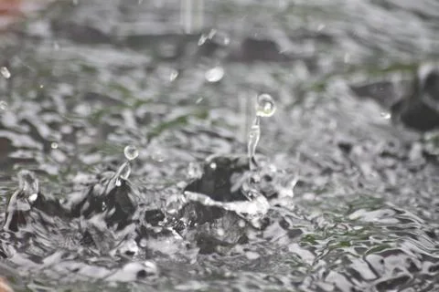 Splash rain water Stock Photos